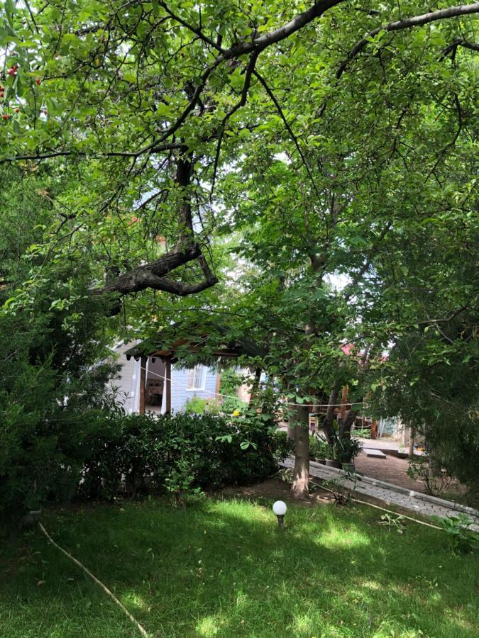 Family Guest House Cholpon-Ata Exterior foto